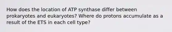 How does the location of ATP synthase differ between prokaryotes and eukaryotes? Where do protons accumulate as a result of the ETS in each cell type?