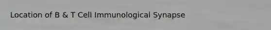 Location of B & T Cell Immunological Synapse