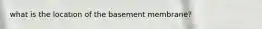 what is the location of the basement membrane?