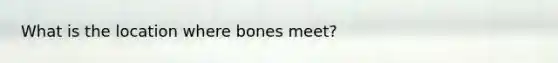 What is the location where bones meet?