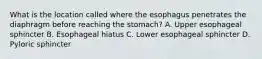 What is the location called where the esophagus penetrates the diaphragm before reaching the stomach? A. Upper esophageal sphincter B. Esophageal hiatus C. Lower esophageal sphincter D. Pyloric sphincter