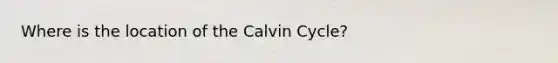 Where is the location of the Calvin Cycle?