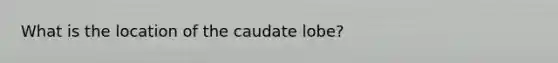 What is the location of the caudate lobe?