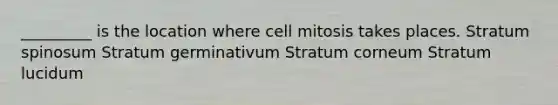 _________ is the location where cell mitosis takes places. Stratum spinosum Stratum germinativum Stratum corneum Stratum lucidum