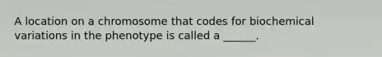 A location on a chromosome that codes for biochemical variations in the phenotype is called a ______.