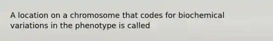 A location on a chromosome that codes for biochemical variations in the phenotype is called