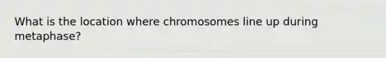 What is the location where chromosomes line up during metaphase?