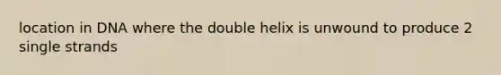 location in DNA where the double helix is unwound to produce 2 single strands