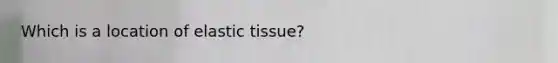 Which is a location of elastic tissue?