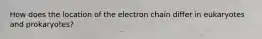 How does the location of the electron chain differ in eukaryotes and prokaryotes?