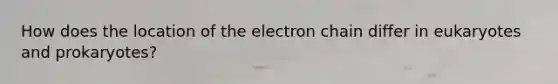 How does the location of the electron chain differ in eukaryotes and prokaryotes?