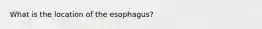 What is the location of the esophagus?