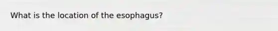 What is the location of the esophagus?