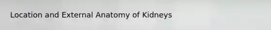 Location and External Anatomy of Kidneys