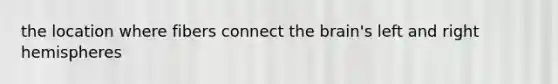 the location where fibers connect the brain's left and right hemispheres