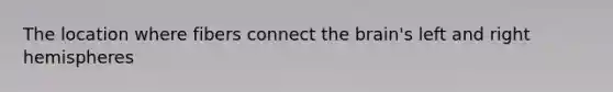 The location where fibers connect the brain's left and right hemispheres