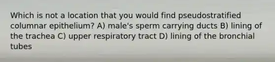 Which is not a location that you would find pseudostratified columnar epithelium? A) male's sperm carrying ducts B) lining of the trachea C) upper respiratory tract D) lining of the bronchial tubes