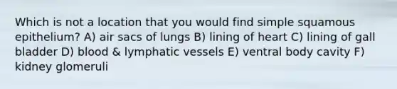 Which is not a location that you would find simple squamous epithelium? A) air sacs of lungs B) lining of heart C) lining of gall bladder D) blood & lymphatic vessels E) ventral body cavity F) kidney glomeruli