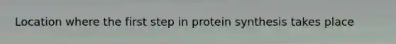 Location where the first step in protein synthesis takes place