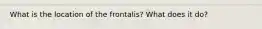 What is the location of the frontalis? What does it do?