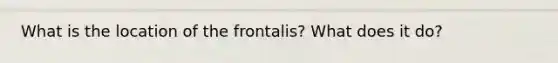 What is the location of the frontalis? What does it do?