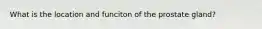 What is the location and funciton of the prostate gland?