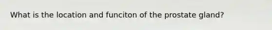 What is the location and funciton of the prostate gland?