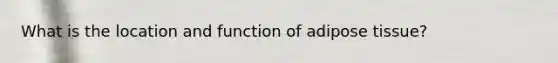 What is the location and function of adipose tissue?