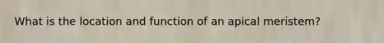 What is the location and function of an apical meristem?