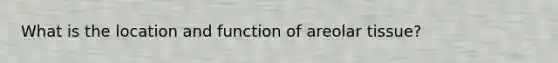 What is the location and function of areolar tissue?