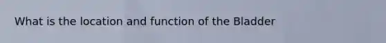 What is the location and function of the Bladder