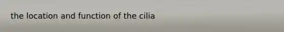 the location and function of the cilia