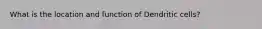 What is the location and function of Dendritic cells?