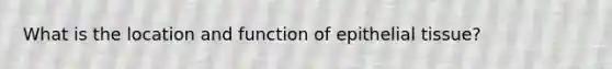 What is the location and function of epithelial tissue?