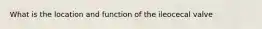 What is the location and function of the ileocecal valve