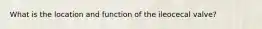 What is the location and function of the ileocecal valve?