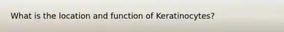 What is the location and function of Keratinocytes?