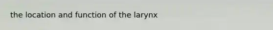 the location and function of the larynx