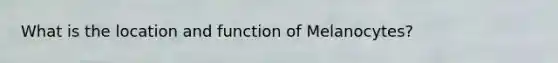 What is the location and function of Melanocytes?