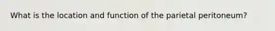 What is the location and function of the parietal peritoneum?