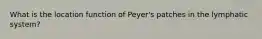 What is the location function of Peyer's patches in the lymphatic system?