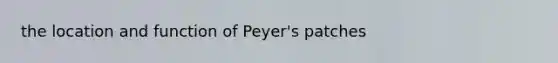 the location and function of Peyer's patches