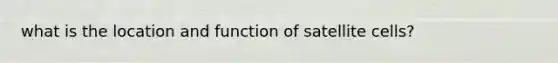 what is the location and function of satellite cells?