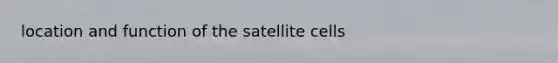 location and function of the satellite cells