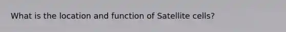 What is the location and function of Satellite cells?