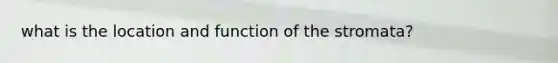 what is the location and function of the stromata?