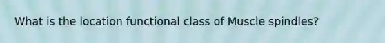 What is the location functional class of Muscle spindles?