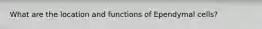 What are the location and functions of Ependymal cells?