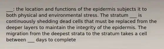 ___: the location and functions of the epidermis subjects it to both physical and environmental stress. The stratum ___ is continuously shedding dead cells that must be replaced from the deeper layers to maintain the integrity of the epidermis. The migration from the deepest strata to the stratum takes a cell between ___ days to complete