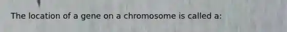 The location of a gene on a chromosome is called a: